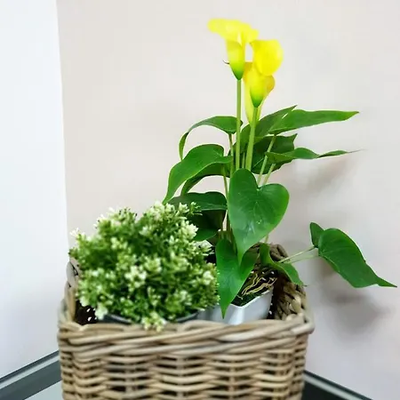 Holiday home Casa Dell'edera *