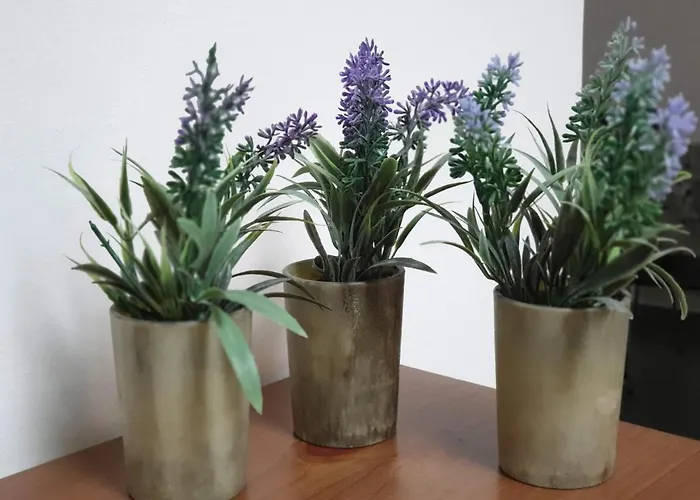 度假居 Casa Dell'edera *